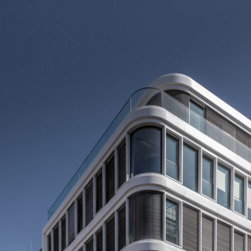 Phönix aus der Asche